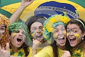 Brazilian soccer fans img