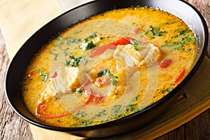 Brazilian stew fish with vegetables and coconut milk close-up in