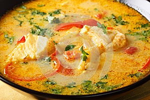 Brazilian Stew Moqueca Baiana of fish and bell peppers capsic