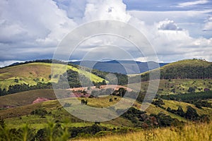 Brazilian tropical landscape