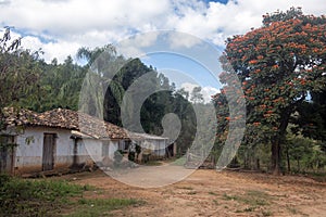 Brazilian typical Rural Home