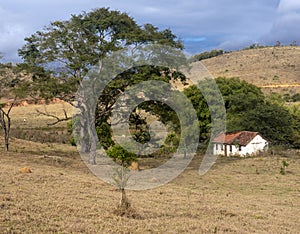 Brazilian typical Rural Home