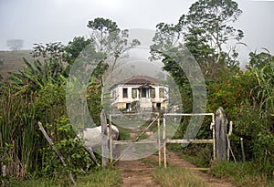 Brazilian typical Rural Home