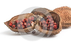 Brazilian Urucum Annatto Seeds