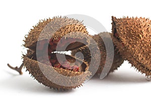 Brazilian Urucum Annatto Seeds photo