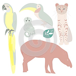 Brazilian wild animals vector illustration. South American tapir, exotic toucan, macaw, wild cat, Finger Monkey Pygmy Marmoset.