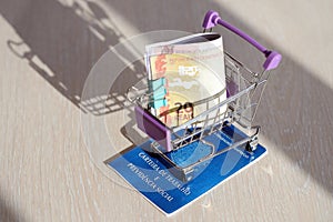 Brazilian work card and social security blue book and reais money bills in shopping cart