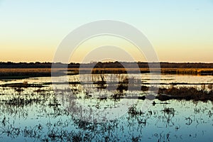 Brazos Bend State Park, Houston, Texas, USA at sunset.