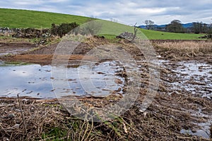 A breached flood bank on a wetland restoration project