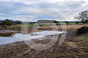 A breached flood bank on a wetland restoration project photo