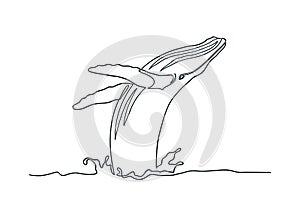 Breaching Humpback whale line art photo