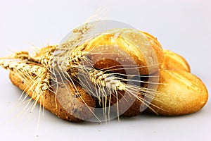 Bread