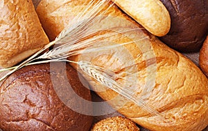 Bread