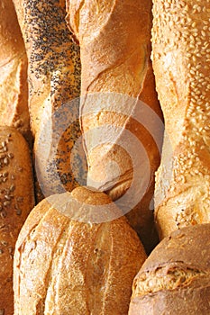 Pane 