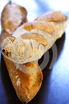 Bread