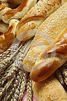 Pane 