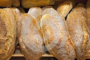Bread assortment background