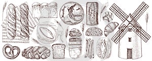 Bread assortment hand drawn vector set