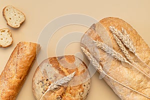 Bread background. Fresh white wheat bread, round classic, ciabatta, french baguette, wheat ears and grains on beige background