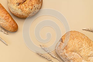 Bread background. Fresh white wheat bread, round classic, ciabatta, french baguette, wheat ears and grains on beige background