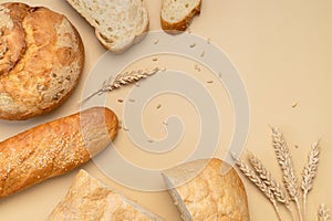 Bread background. Fresh white wheat bread, round classic, ciabatta, french baguette, wheat ears and grains on beige background