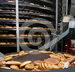 Bread bakery photo