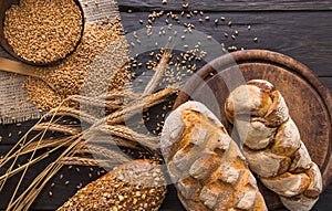 Bread bakery background. Brown and white wheat grain loaves composition