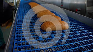 Bread bakery food factory. Breads on conveyor