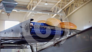 Bread bakery food factory. Breads on conveyor