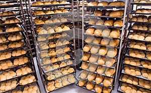 Bread bakery food factory production with fresh products