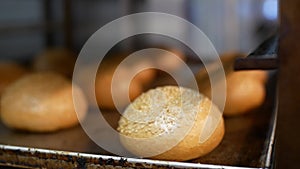 Bread bakery. Fresh buns sprinkled with sesame seeds close up