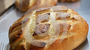 Bread bakery. Fresh round bread close up