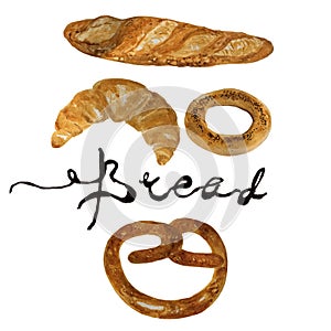 Bread, bakery product watercolor drawing set. Fresh loaf of bread, baguette, croissant, cupcake, toast, burger and sweet bun,