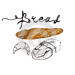 Bread, bakery product watercolor and pen sketch drawing with lettering. Fresh loaf of bread, baguette, croissant and sweet bun,