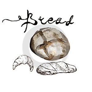 Bread, bakery product watercolor and pen sketch drawing with lettering. Fresh loaf of bread, baguette, croissant and sweet bun,