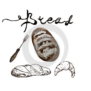 Bread, bakery product watercolor and pen sketch drawing with lettering. Fresh loaf of bread, baguette, croissant and sweet bun,