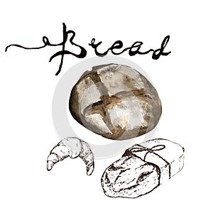 Bread, bakery product watercolor and pen sketch drawing with lettering. Fresh loaf of bread, baguette, croissant and sweet bun,