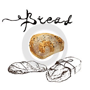 Bread, bakery product watercolor and pen sketch drawing with lettering. Fresh loaf of bread, baguette, croissant and sweet bun,