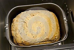 Bread in the bread maker