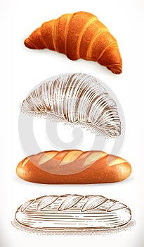 Bread. Croissant, loaf. 3d realism and engraving styles. Vector illustration