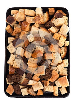 Bread and croutons on a baking sheet