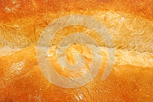 Bread crust