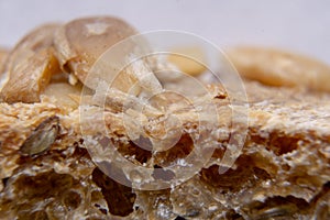 Bread crust with seeds macro. Bread extreme close-up.