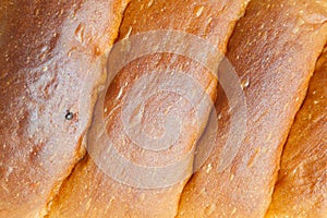 Bread crust texture