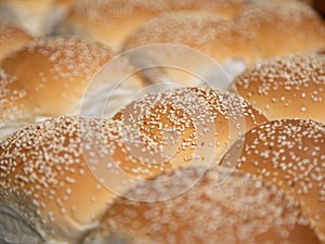 bread details with sesame