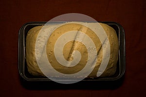 The bread dough has risen, the bread dough is ready for baking. Homemade yeast bread from white flour in a square baking dish.