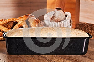 Bread dough leaven in baking mold