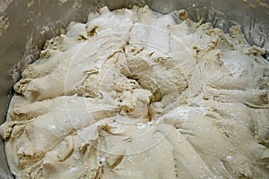Bread dough prepared for baking in a bakery.