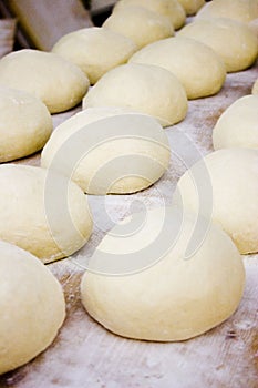 Bread doughs