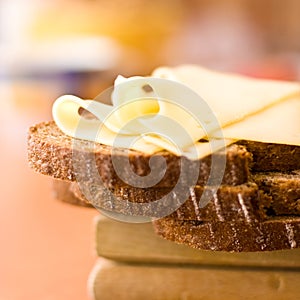 Bread and Edam cheese